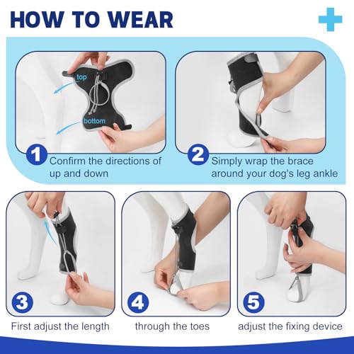 Image of Dog Knuckling Braces Wrap for Hyperflexion of Phalanges Cause by Sciatic Nerve Damage, Carpal Flexural Deformity - Dual Locking Straps for Safe Adjustable Toe Lift Support (Black, Small)