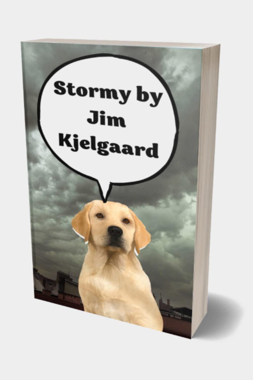 Stormy by Jim Kjelgaard: Winter in the Beaver Flowage was always harsh, with deep snow, bitter winds, and zero temperatures the rule rather than the exception Paperback – 27 February 2022