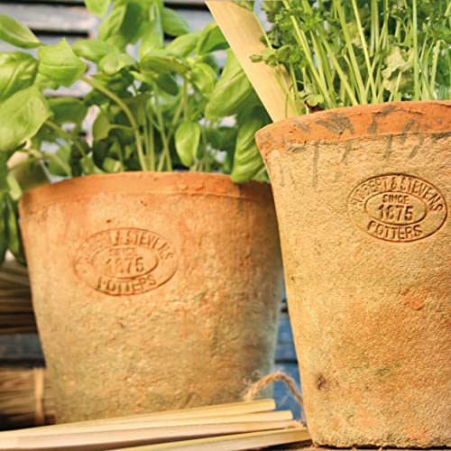 Home Deco London Aged Round Terracotta Plant Pots Set of rustic planters suitable for outdoors ideal for herbs - Cosy Home Interiors Home Deco London Aged Round Terracotta Plant Pots Set of rustic planters suitable for outdoors ideal for herbs - Image 4