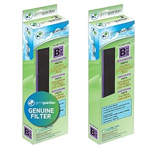 GermGuardian Filter B Pet Pure HEPA Genuine Replacement Filter, Removes 99.97% of Pollutants for AC4825, AC4820, AC4850, AC4870, CDAP4500, AC4900, AC4300, AP2200, 2- Pack, Black/Purple, FLT4850PT2PK
