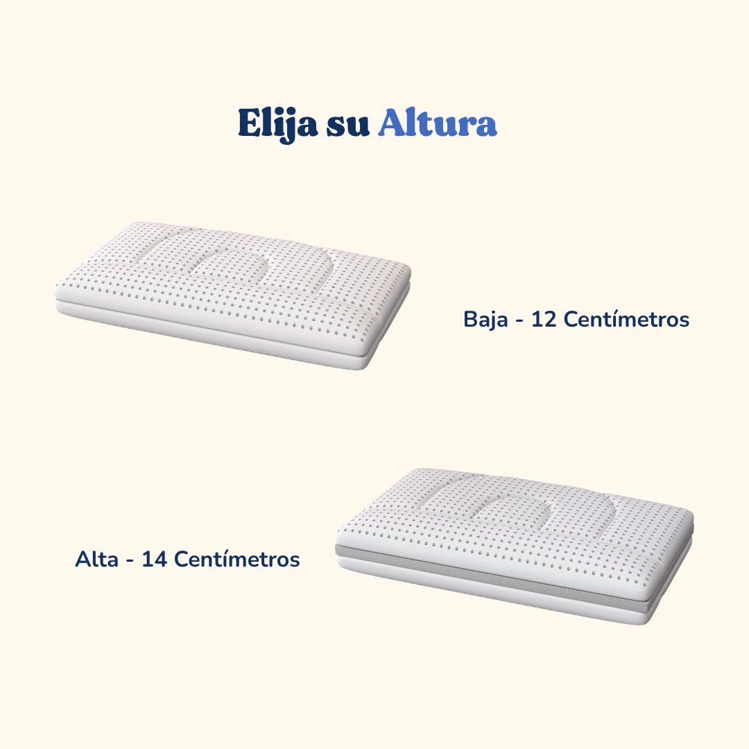 Almohada cervical de espuma viscoelástica – Almohada ortopédica patentada con dos alturas – Alivio del dolor de cuello – Transpirable, antiacaros, hipoalergénica, antirronquidos (Baja - 12 Cm) | Cojín ergonómico transpirable (70 x 40 cm) | Disponible en a