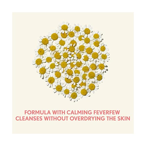 Aveeno-Ultra-Calming-Foaming-Cleanser-Makeup-Remover-Facial-Cleanser-with-Calming-Feverfew-Face-Wash-for-Dry-Sensitive-Skin-Hypoallergenic-Fragrance-Free-Non-Comedogenic-Unscented-6-Fl-Oz Aveeno Ultra-Calming Foaming Cleanser & Makeup Remover Facial Cleanser with Calming Feverfew, Face Wash for Dry & Sensitive Skin, Hypoallergenic, Fragrance-Free & Non-Comedogenic, Unscented, 6 Fl Oz