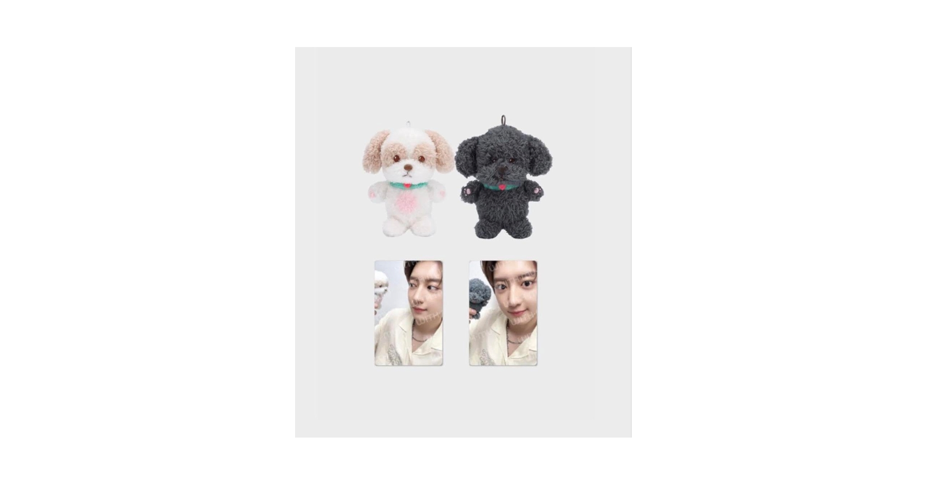 EXO チャニョル 찬열 ツアー アルバム センイル グッズ セット EXO チャニョル 찬열 ツアー アルバム センイル グッズ セット