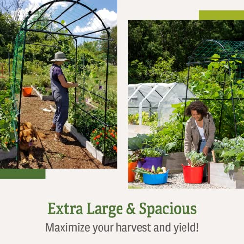 Gardener’s Supply Company Extra Tall Garden Arch Arbor 80In Titan Squash Tunnel | Lightweight Metal Garden Arch Trellis Plant Stand For Climbing Vines | Outdoor Lawn Tower & Garden Support Structure #TOP6
