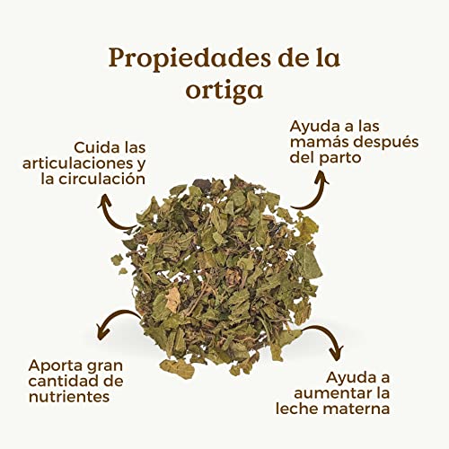 INFUSION DE ORTIGA Orgánica 100g (+50 Tazas) | TÉ HOJAS DE ORTIGA Premium Drenante, Depurativa y Detox REPLANTEA - imagen 4
