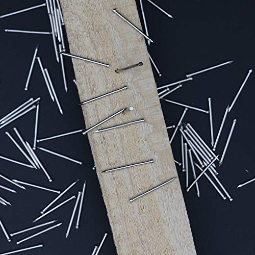 Image of JEGONFRI 600PCS 1 inch Nickel Brad Head Nails for Hanging Pictures & Woodwork | Premium Carbon Steel Build, Rust-Resistant Nickel Finish, Consistent Size & Strength