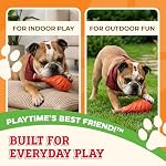Baba Buddies 5-in-1 Turkey Leg Dog Chew Toy for Aggressive Chewers | Natural rubber & tough nylon hybrid, dental cleaning ridges, real turkey flavor. For Labrador, German Shepherd, Pit Bull - Image 6