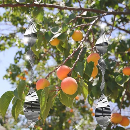 Image of Stainless Steel Bird Deterrents for Outside,3D Wind Spinners Outdoor Decor,12 Discs Reflective Bird Scare Discs 4 Set Bird Reflectors to Keep Woodpecker Pigeon Away from House Window Patio Yard Porch