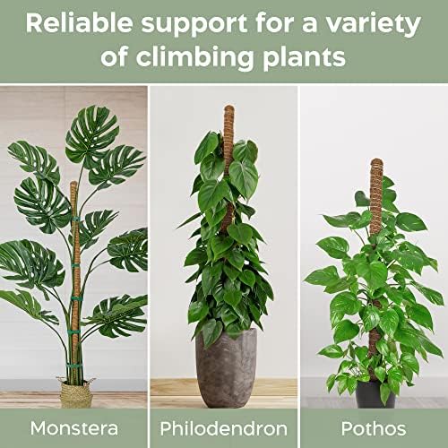 K-Brands 2 Pack 28 Inches Bendable Moss Pole Monstera Plant Support for Climbing Indoor Plants - Stakes for Potted Climbers - Tall Sticks Indoor Trellis for Houseplants - Accessories for Monstera Pot - 3