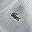 Microchip
