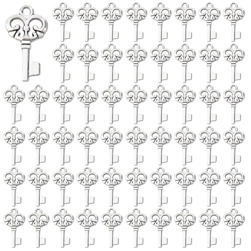 DICOSMETIC 100Pcs Vintage Key Charms Pendants Metal Key Charms 23x12x2mm
