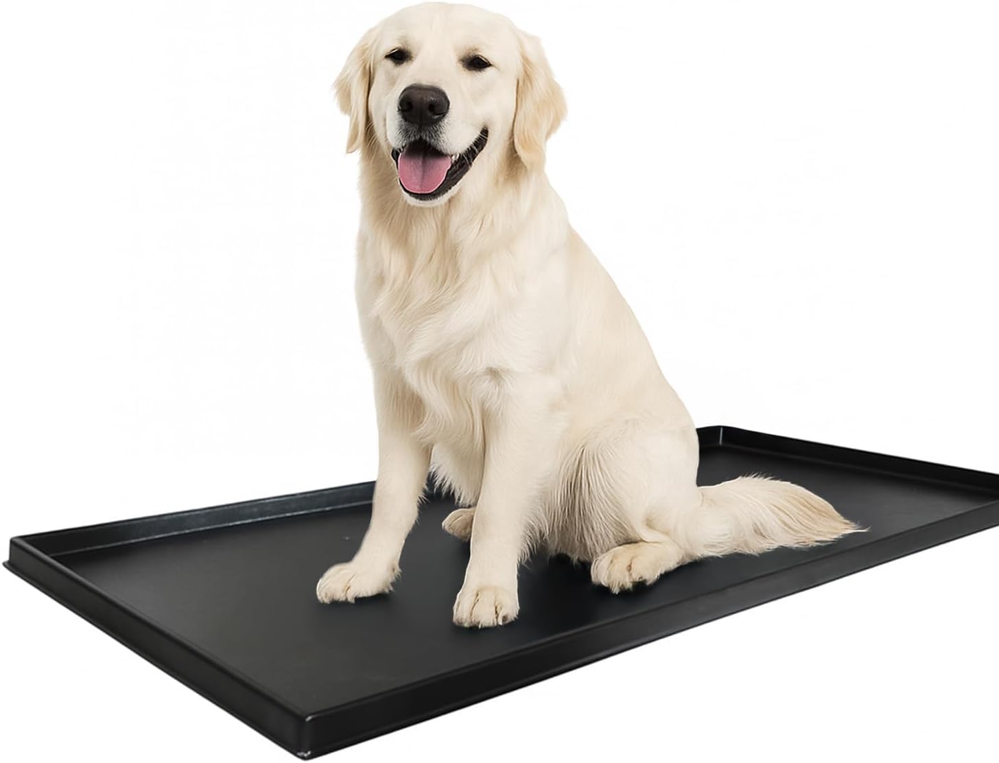 DoggieLawn XL Tray Only
