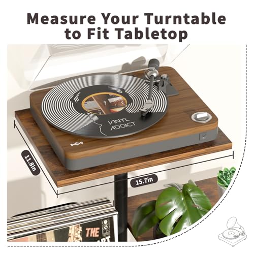 Bikoney Botanical Record Player Stand with Vinyl Storage and Plant Stand #TOP18