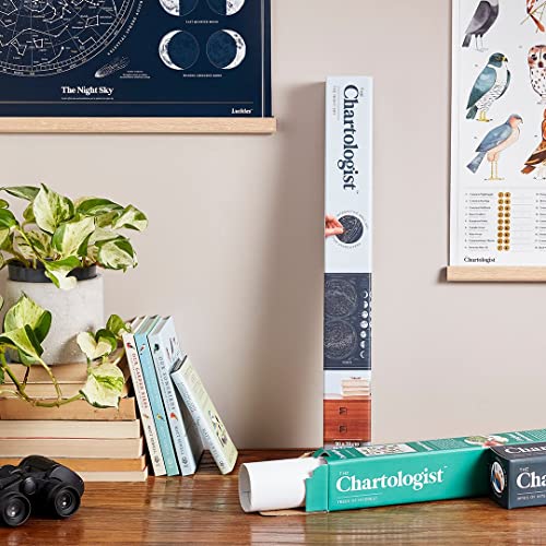 Night Sky Astronomy Poster | Moon Phase Wall Decor & Celestial Decor | Scratch Off Map Of The Sky | Boho Wall Decor For Bedroom | Interactive Scratch Art Prints | Space Gifts & Astronomy Gifts #TOP5