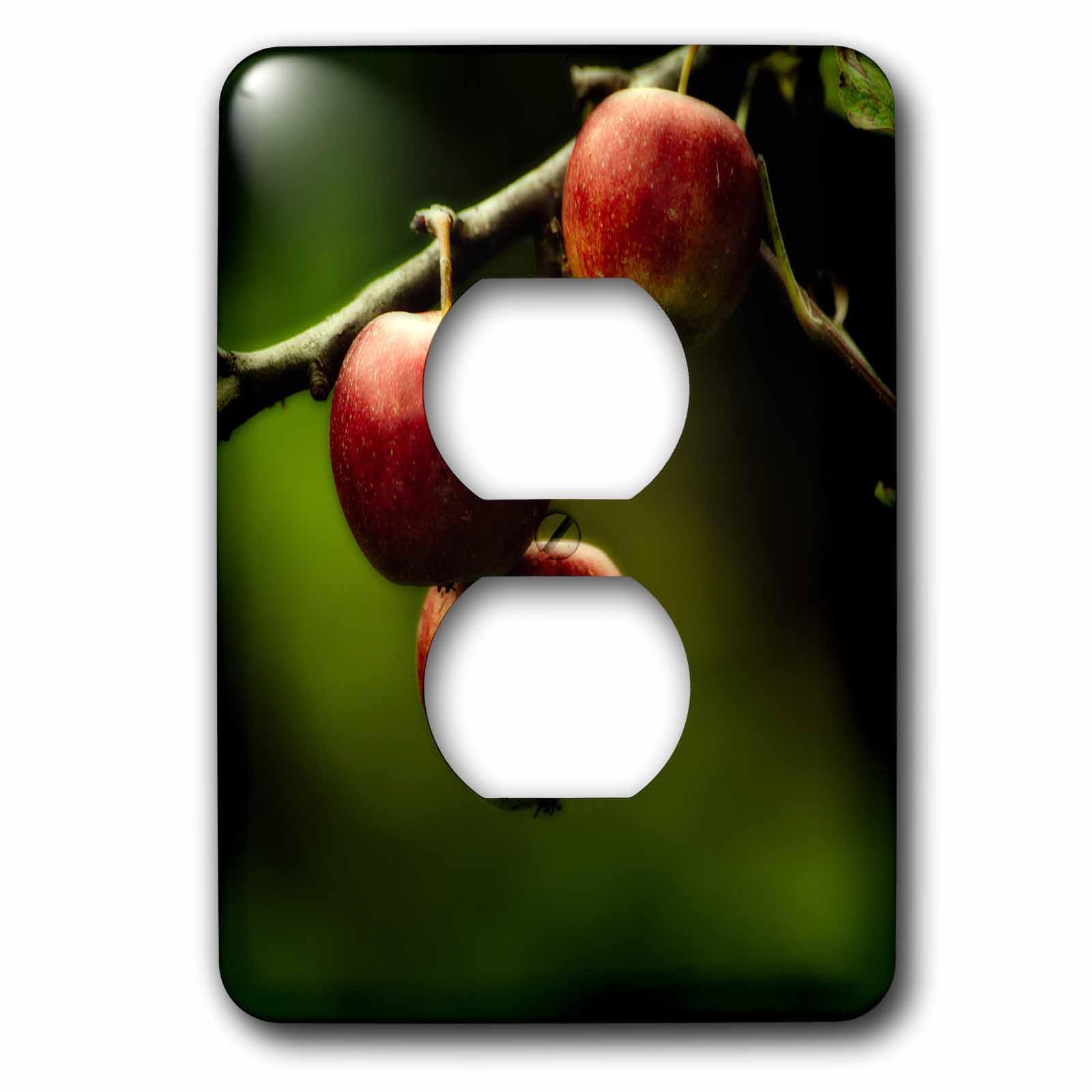 Placa para 2 enchufes con estampado de manzanas rojas 3dRose LSP_227371_6 1
