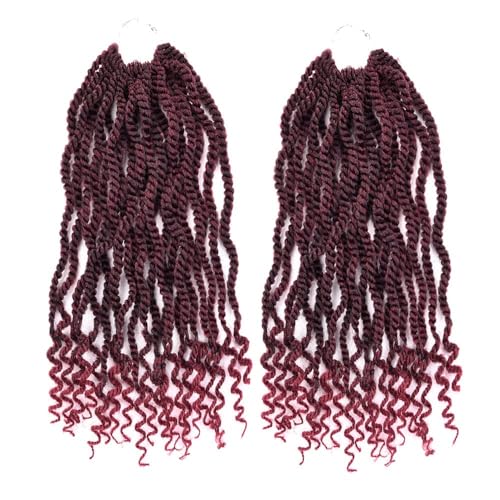 12 Inch Crochet Braids Senegalese Twist Crochet Hair for Black Women 2 Packs Havana Twist crochet hair With Curly Ends (TBUG#, 12 Inch)