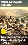 Oriental Encounters: Palestine and Syria, 1894-6: Enriched edition. Journey through the Enchanting Middle East: A Victorian Travelogue