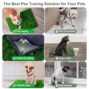 Peepadsfordogswithfakegrass27x21indoorartificialgrassfordogspottylawnpeepadsfordoggiewashablereusableandlawnforreplacementpuppytraininglitterboxforoutdoorpatio Urban Country Home Decor Pee pads for dogs with fake grass 27 x 21 indoor artificial grass for dogs potty lawn pee pads for doggie washable reusable and lawn for replacement puppy training litter box for outdoor patio urban country home decor