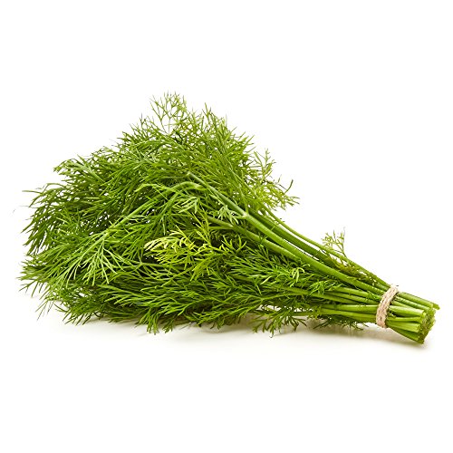 Organic Baby Dill, .75 oz Clamshell