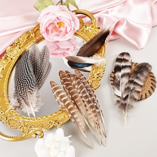 image for iHUFeather 40pcs Natural Pheasant Feathers Bulk Spotted Feathers 5 Sty