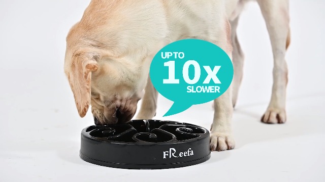 Freefa Slow Feeder Dog Bowls, (2 Cup) Dog Slow Feeder Bowl, Puzzle Dog Food Bowl, Maze Dog Food Bowl, Slow Feeder Dog… - Image 8