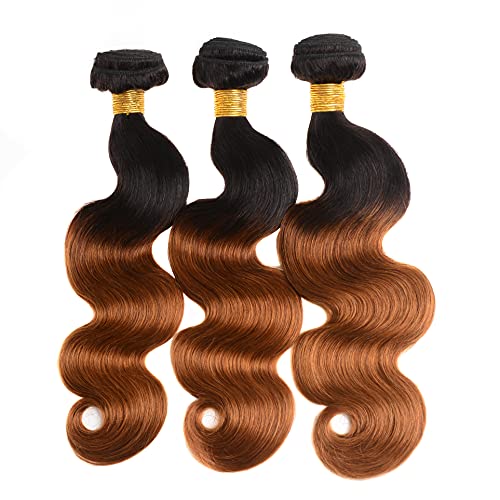 Ombre Body Wave Bundles Brazilian Human Hair Ombre Bundles 100% Unprocessed Virgin Human Hair Bundles (10 12 14) …