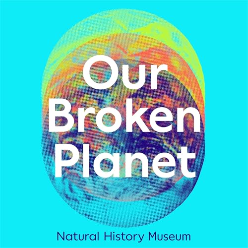 Page de couverture de Rainforests: How to restore Earth's lungs