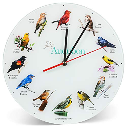 Mark Feldstein & Associates Audubon Songbird Species Non-Singing Classic White 12 Inch Smooth Glass Round Wall Clock #TOP22