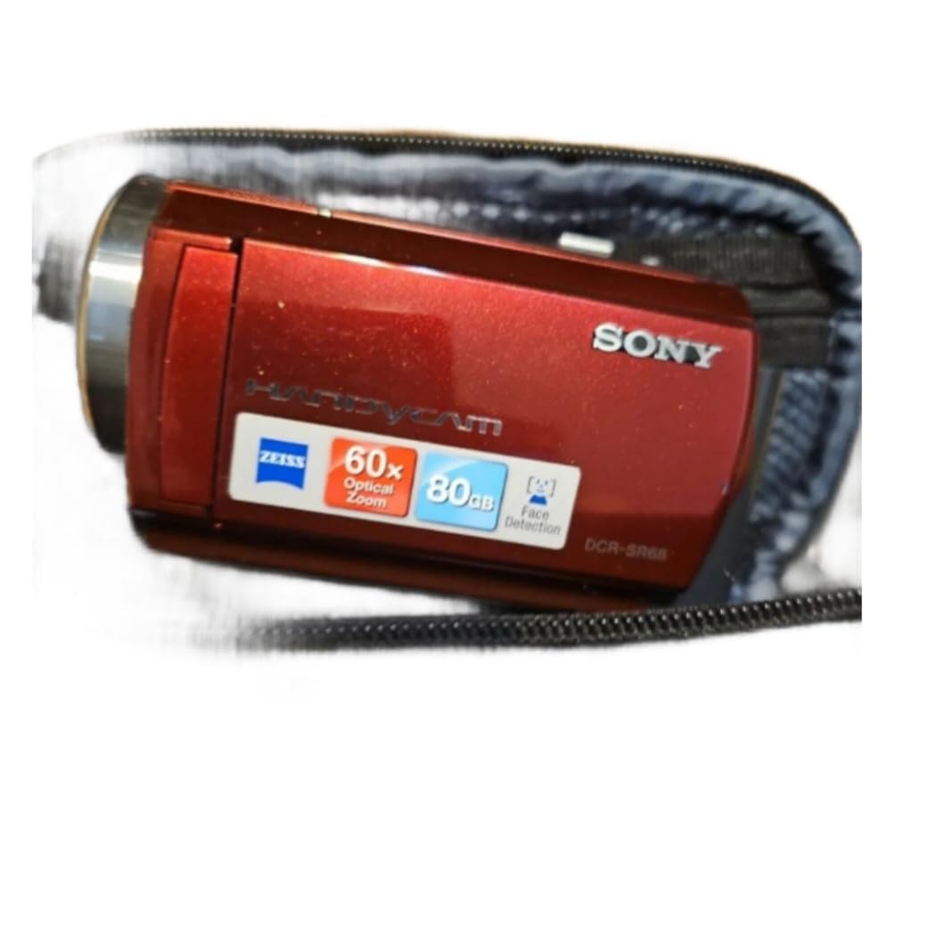 Sony handicam Digital Camera with Samsonite Case and Battery