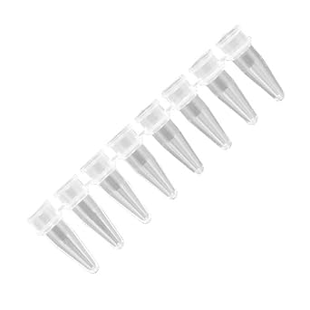Axygen Pcr 08 Cp C Thin Wall 8 Strip Pcr Tube Strips With Domed Clear Strip Caps 0 2ml Clear Pp 1 Case Tubes And Caps 8 Each Strip 125 Strips Unit 10 Units Case Science Lab Pcr Tubes Amazon Com