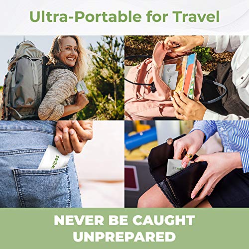Litewipes Individual Flushable Wipes For Adults, Unscented Wet Wipes With Aloe & Hypoallergenic, Made In Usa (30 Single Wrapped Personal Cleansing Wipes For Travel) #TOP3