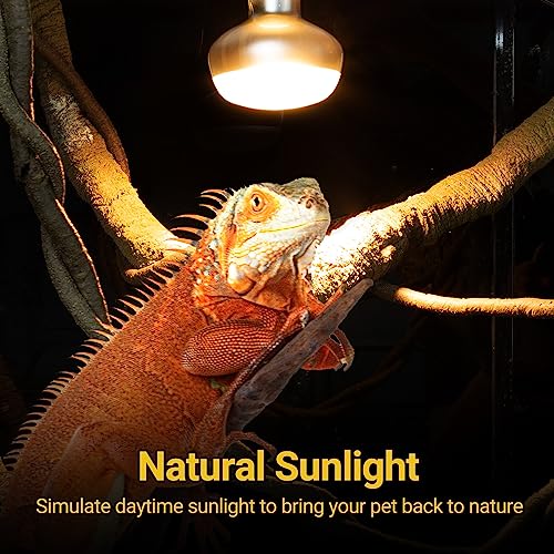 Image of REPTI ZOO 2 Pack Heat Lamp 150W, Intense Basking Spot Simulated Natural Sunlight Heating Lamp Bulb, Heat Emitter UVA Heat Lamp Bulb for Reptile Chickens Pet Brooder