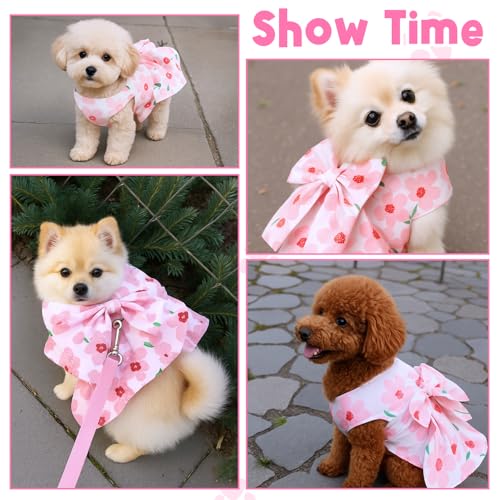 HJZHII Vestidos para cães pequenos e meninas, roupas para filhotes de cachorro com estampa floral, a