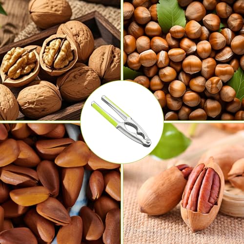 1 PCS Metal Nutcracker,Nut Crackers Heavy Duty Walnut Nut Opener with Non-Slip Handle,Multifunctional Nut Cracker for All Nuts Almonds Hazelnut Pistachios(Green) - Image 6