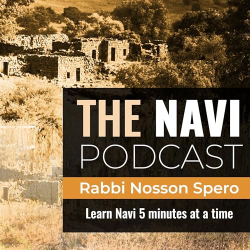 The Navi Podcast copertina