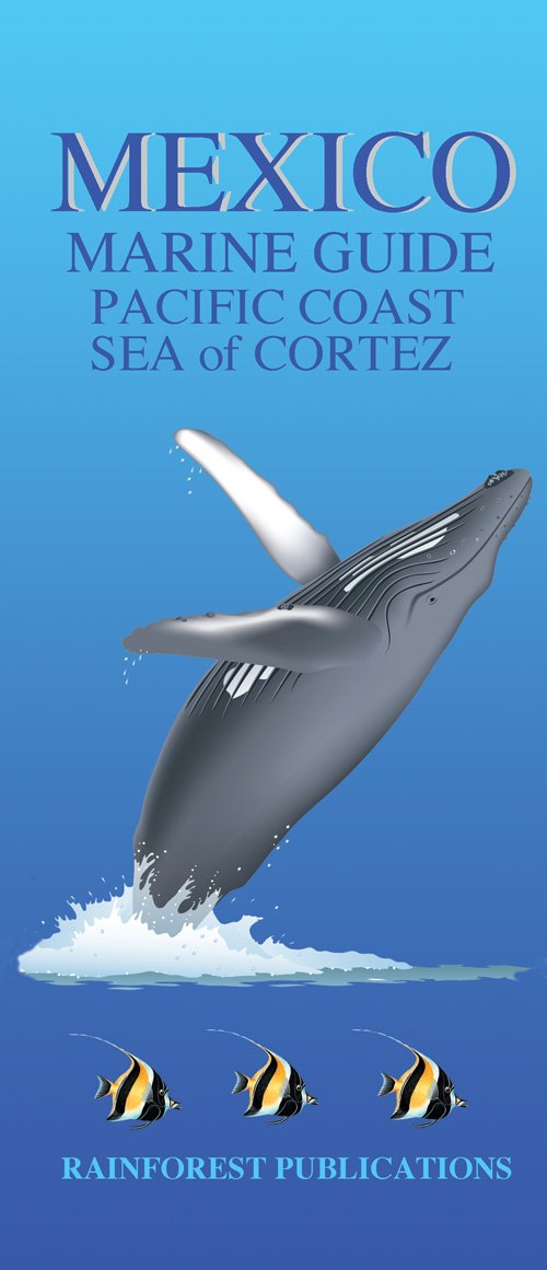 Mexico Pacific Coast Marine Guide (Laminated Foldout Pocket Field Guide) (Costa Rica Field Guides) (English and Spanish Edition)