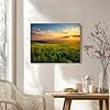 VETEB Paint by Numbers Kit for Adults Beginner Kansas Sunset Flint Hills Four Seasons DIY Painting by Numbers on Canvas Acrylic Oil Painting for Home Wall Decor Gifts 16"x20" #3