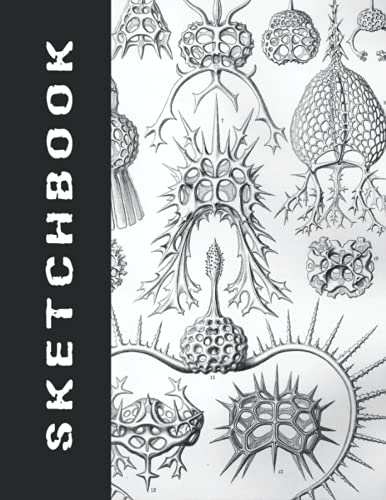 Sketchbook: 8.5" x 11" 120 Blank pages for drawing, doodling, sketching BW Seashell Theme: for pencils, colored pencils, pastel, and chalks