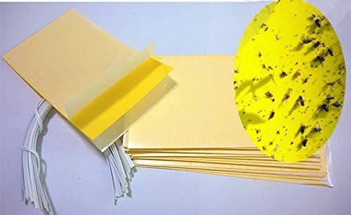 Hafer Dual Sticky Trap, Yellow, 5 X 3-Inches (15 pcs)