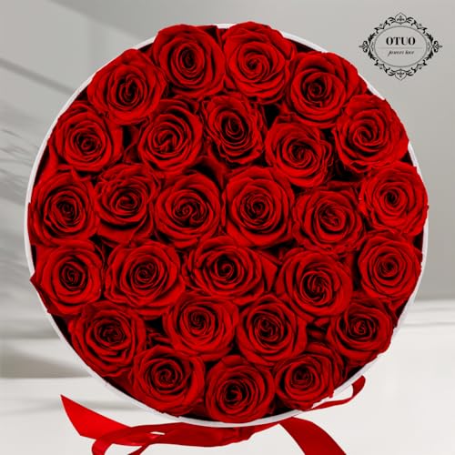 27 Piece Preserved Roses in a Box - Forever Flowers for Delivery Prime, Eternal Roses Mothers Gifts for Mom, Wife Anniversary Birthday Gifts for Women, Red - Image 7