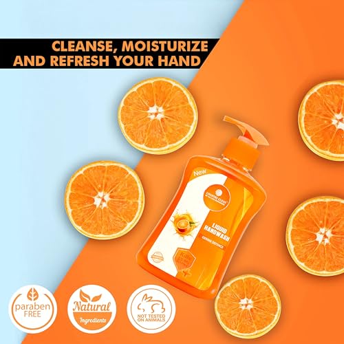 Image of Liquid Handwash - 250ml, Germ Protection and Antibacterial Hand Wash, Soft on Hands with Refreshing Fragrance, Suitable for All Skin Types, Ideal for Daily Use