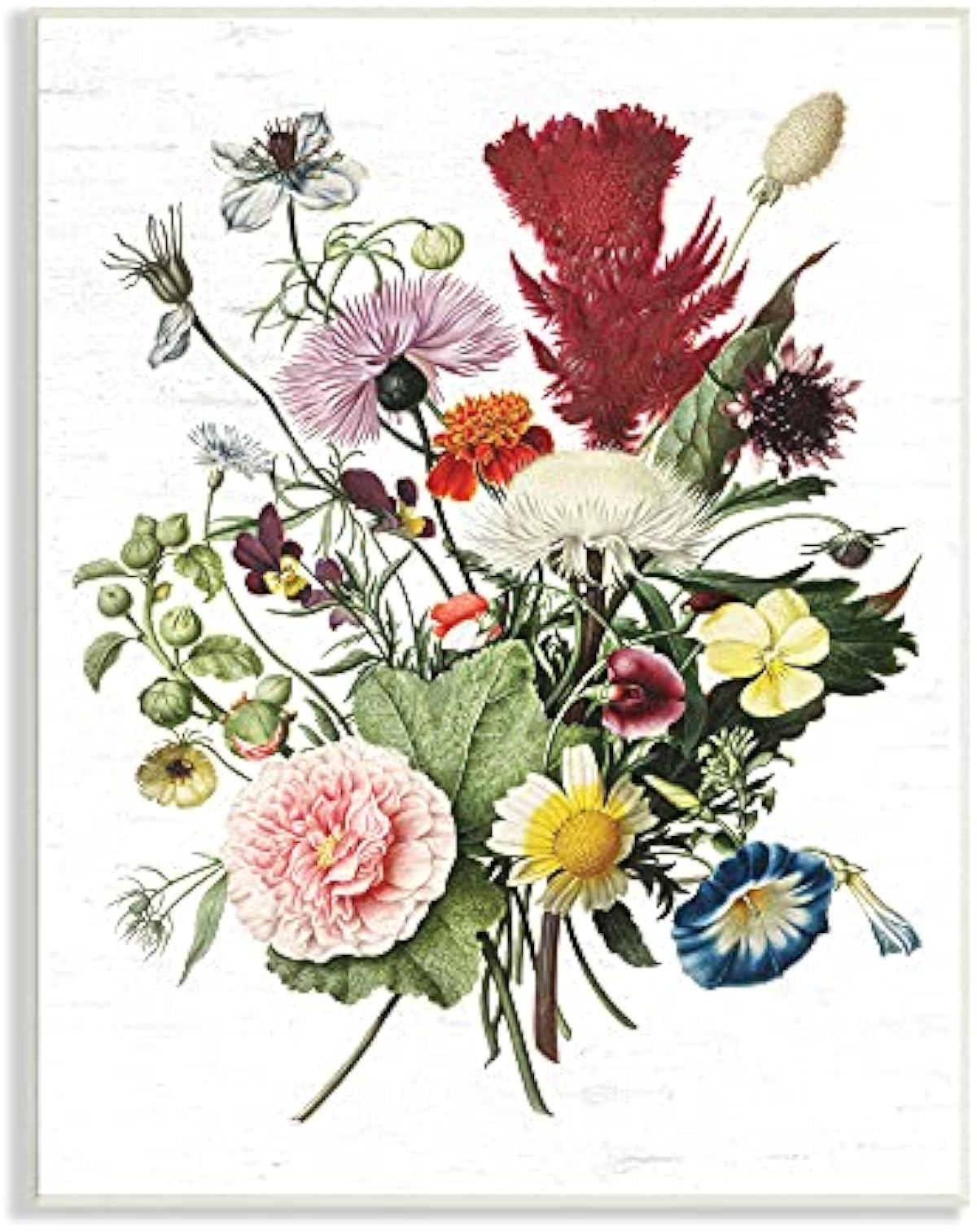 お得セール Stupell Industries ワイルドボタニカルブーケ ビンテージイラスト オーバー 文字と裏地付きウォールプラークによるデザイン グリーン 販売特売中 Www Civilittee Hu Com