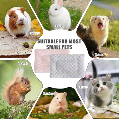 2 Stück 31 * 21CM Kaninchen Meerschweinchen Bett, Zubehör für Kaninchen und Meerschweinchen, Katzen Decken Warme Flauschige Plüschbett für Kleine Tiere