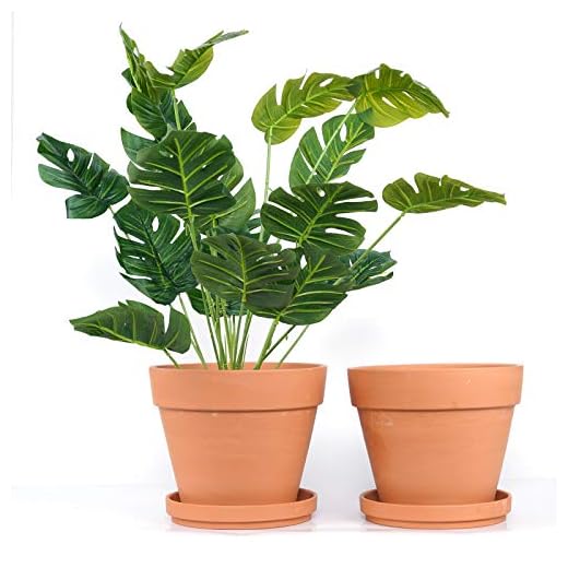 YISHANG 9 Inch Clay Pot for Plant with Saucer - 2 Pack Large Terra Cotta Plant Pot with Drainage Hole, Clay Planters Pot, Terracotta Pot for Indoor Outdoor Plant,Round Flower Planter Pots for Plants