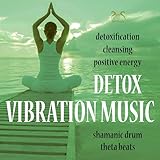 Detox Vibration Music: Complete Cleansing of Body and Mind (Theta Beats, Detoxing Drum Rhythm)