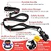 Starke Hundeleine,Reflektierend Doppelseitig Leine mit Weich Gepolstertem Griff,Nylon Bungee Hundeleinen Elastisch mit Auto Sicherheitsgurt Schnalle Metallhaken für Großen Mittelgroße Hunde (Schwarz)