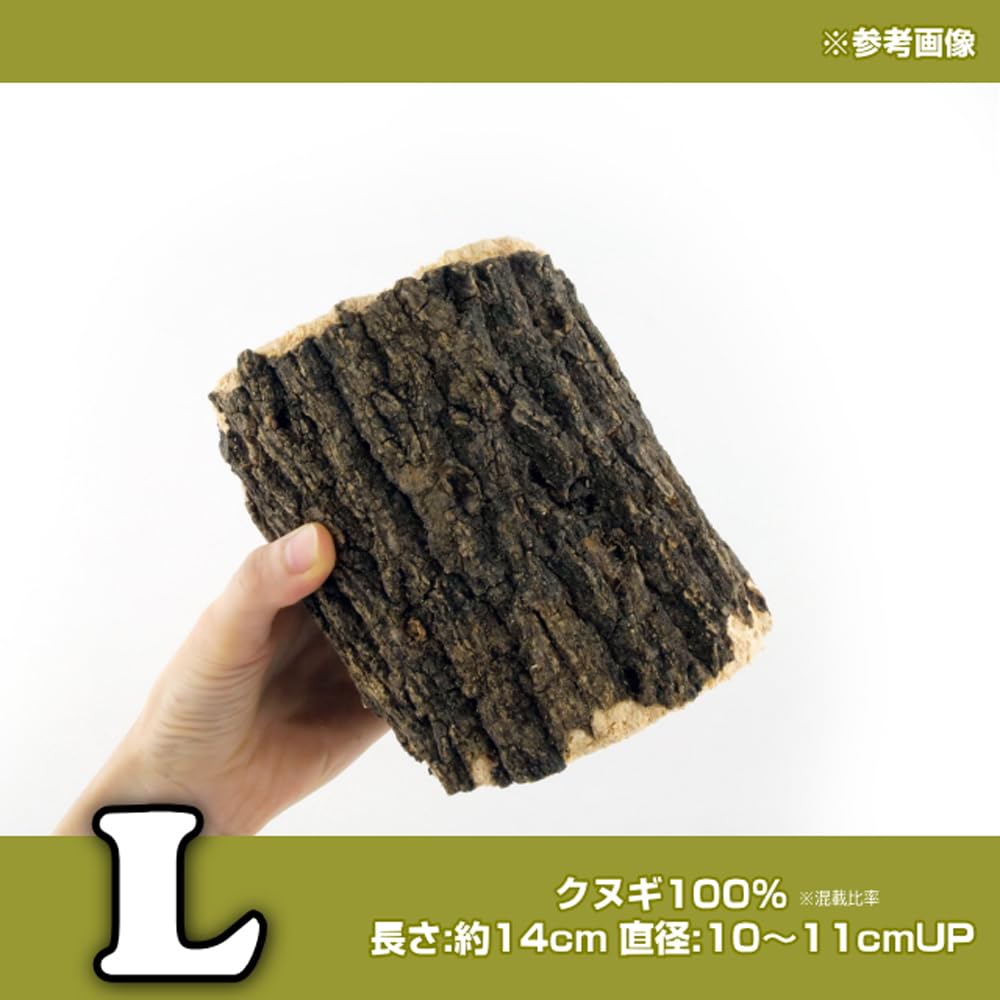 Amazon | 産卵木 Lサイズ クヌギ材 11～12本セット｜クワガタ繁殖用