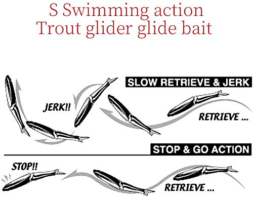 Psdndeww 12 esche da pesca, coaguli di sangue, esche vive, galleggianti, esche morbide, pesce gatto, pezzi di sangue, esche altamente elastiche Psdndeww 12 esche da pesca, coaguli di sangue, esche vive, galleggianti, esche morbide, pesce gatto, pezzi di sangue, esche altamente elastiche