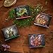 Magic: The Gathering Bloomburrow Commander Deck Bundle - Includes All 4 Decks (Animated Army, Family Matters, Peace Offering, and Squirreled Away)