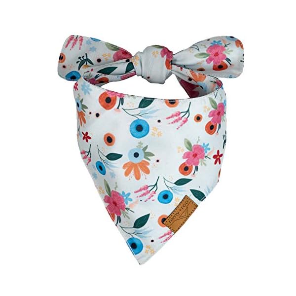 Remy+Roo Dog Bandanas – 2 Pack | Irene Set | Premium Durable Fabric | Unique Shape | Adjustable Fit | Multiple Sizes Offered | (Large) Remy+Roo Dog Bandanas – 2 Pack | Irene Set | Premium Durable Fabric | Unique Shape | Adjustable Fit | Multiple Sizes Offered | (Large)